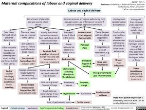 Maternal-complications-after-labor-and-vaginal-delivery