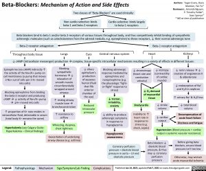Beta-Blockers-Mechanism-of-Action-and-Side-Effects