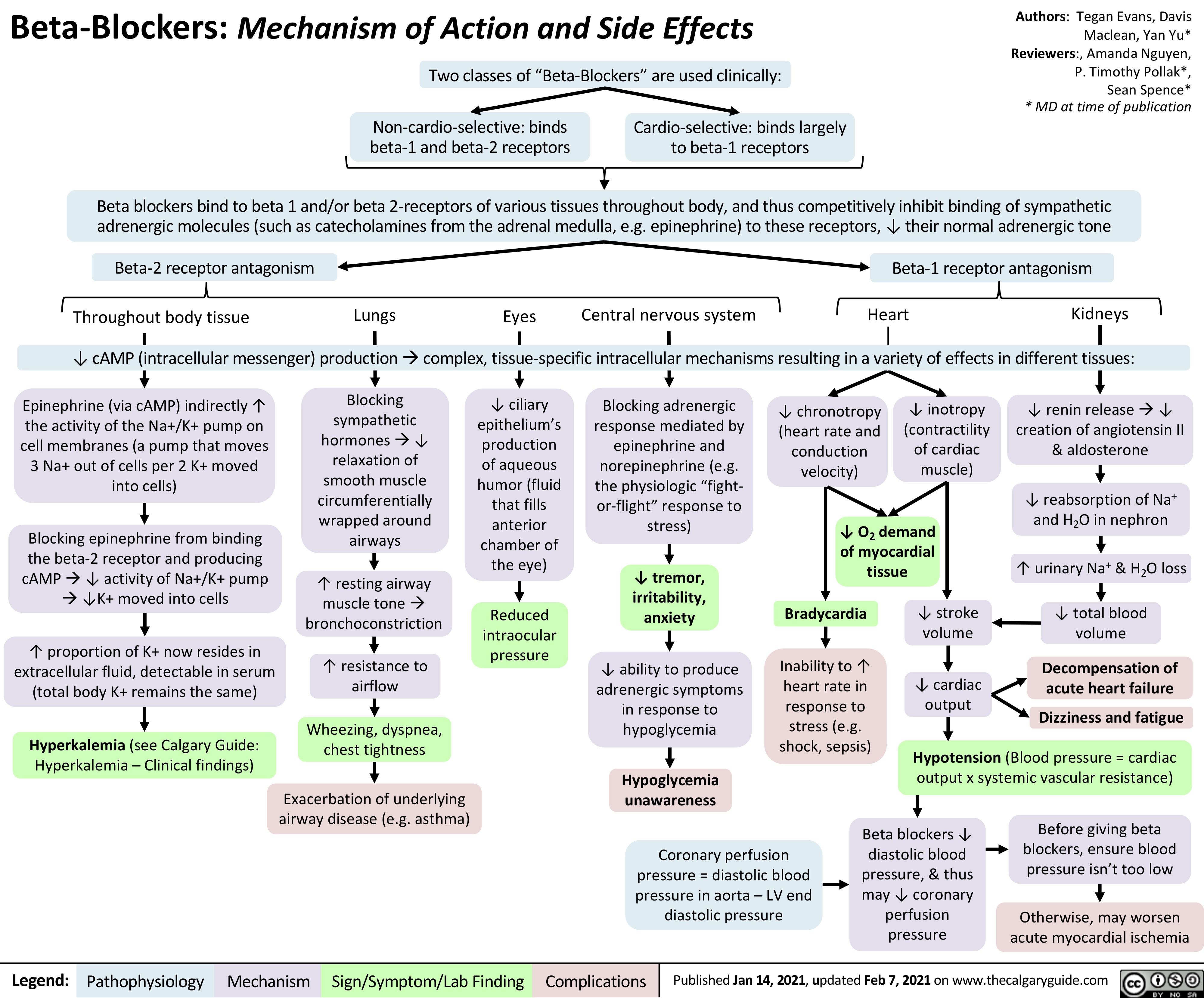 Beta-Blockers: Mechanism of Action and Side Effects Two classes of “Beta-Blockers” are used clinically:
Non-cardio-selective: binds Cardio-selective: binds largely beta-1 and beta-2 receptors to beta-1 receptors
Authors: Tegan Evans, Davis Maclean, Yan Yu* Reviewers:, Amanda Nguyen, P. Timothy Pollak*, Sean Spence* * MD at time of publication
        Beta blockers bind to beta 1 and/or beta 2-receptors of various tissues throughout body, and thus competitively inhibit binding of sympathetic adrenergic molecules (such as catecholamines from the adrenal medulla, e.g. epinephrine) to these receptors, ↓ their normal adrenergic tone
Beta-2 receptor antagonism Beta-1 receptor antagonism
      Lungs Eyes Central nervous system Heart Kidneys ↓ cAMP (intracellular messenger) productionàcomplex, tissue-specific intracellular mechanisms resulting in a variety of effects in different tissues:
Throughout body tissue
             Epinephrine (via cAMP) indirectly ↑ the activity of the Na+/K+ pump on cell membranes (a pump that moves 3 Na+ out of cells per 2 K+ moved into cells)
Blocking epinephrine from binding
the beta-2 receptor and producing cAMPà↓ activity of Na+/K+ pump à↓K+ moved into cells
↑ proportion of K+ now resides in extracellular fluid, detectable in serum (total body K+ remains the same)
Hyperkalemia (see Calgary Guide: Hyperkalemia – Clinical findings)
Blocking sympathetic hormonesà↓ relaxation of smooth muscle circumferentially wrapped around airways
↑ resting airway muscle toneà bronchoconstriction
↑ resistance to airflow
Wheezing, dyspnea, chest tightness
Exacerbation of underlying airway disease (e.g. asthma)
↓ ciliary epithelium’s production of aqueous humor (fluid that fills anterior chamber of the eye)
Reduced intraocular pressure
Blocking adrenergic response mediated by epinephrine and norepinephrine (e.g. the physiologic “fight- or-flight” response to stress)
↓ tremor, irritability, anxiety
↓ ability to produce adrenergic symptoms in response to hypoglycemia
Hypoglycemia unawareness
Coronary perfusion pressure = diastolic blood pressure in aorta – LV end diastolic pressure
↓ inotropy (contractility of cardiac muscle)
  ↓ chronotropy (heart rate and conduction velocity)
↓ renin releaseà↓ creation of angiotensin II & aldosterone
+ ↓ reabsorption of Na
and H2O in nephron
↑ urinary Na+ & H2O loss
↓ total blood volume
Decompensation of acute heart failure
Dizziness and fatigue Hypotension (Blood pressure = cardiac
output x systemic vascular resistance)
        ↓ O2 demand of myocardial tissue
             Bradycardia
Inability to ↑ heart rate in response to stress (e.g. shock, sepsis)
↓ stroke volume
            ↓ cardiac output
               Beta blockers ↓ diastolic blood pressure, & thus may ↓ coronary perfusion pressure
Before giving beta blockers, ensure blood pressure isn’t too low
Otherwise, may worsen acute myocardial ischemia
      Legend:
 Pathophysiology
Mechanism
 Sign/Symptom/Lab Finding
  Complications
 Published Jan 14, 2021, updated Feb 7, 2021 on www.thecalgaryguide.com
  