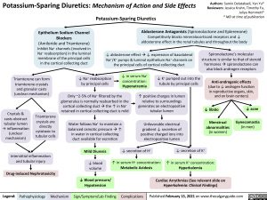 Potassium-Sparing-Diuretics-Mechanism-of-Action-and-Side-Effects