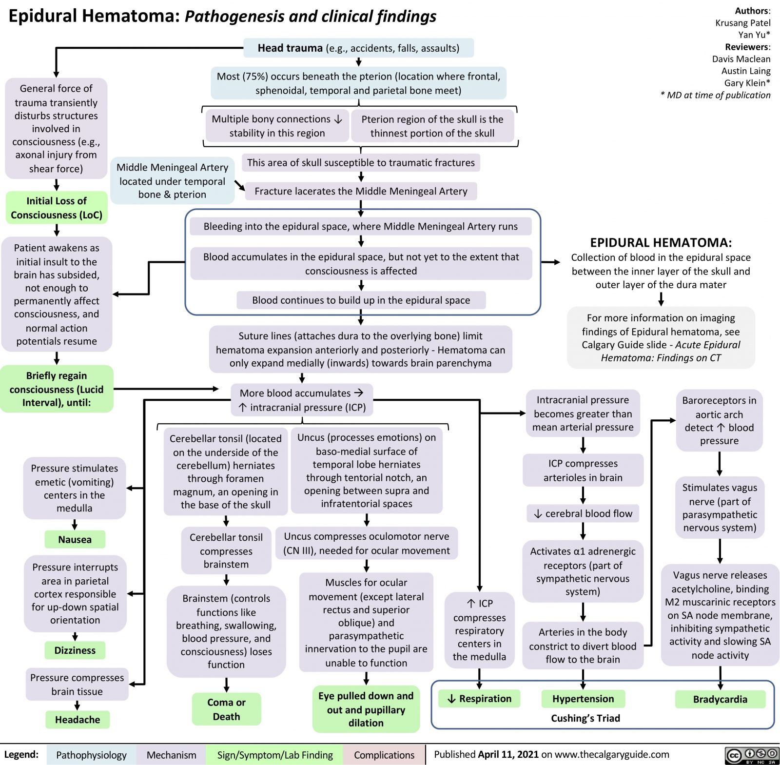 Epidural Hematoma: Pathogenesis and Clinical Findings | Calgary Guide