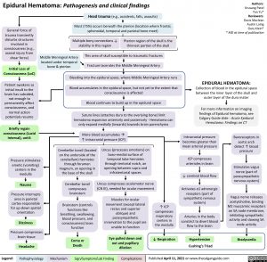 epidural-hematoma-pathogenesis-and-clinical-findings