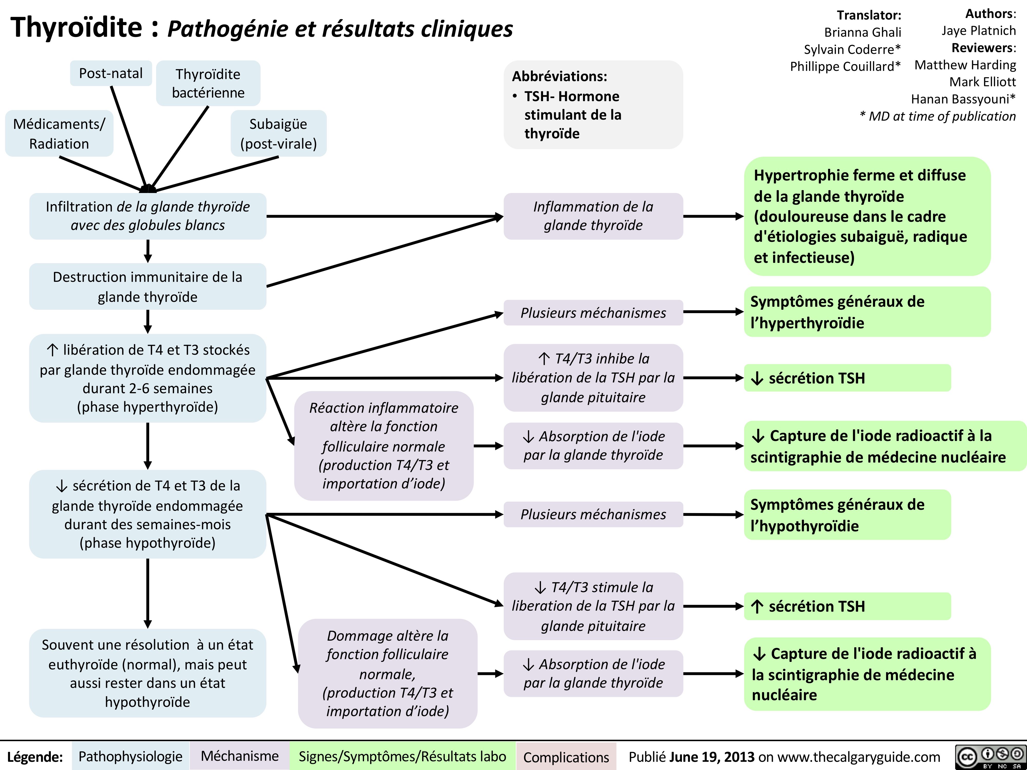 Inflammation | Calgary Guide