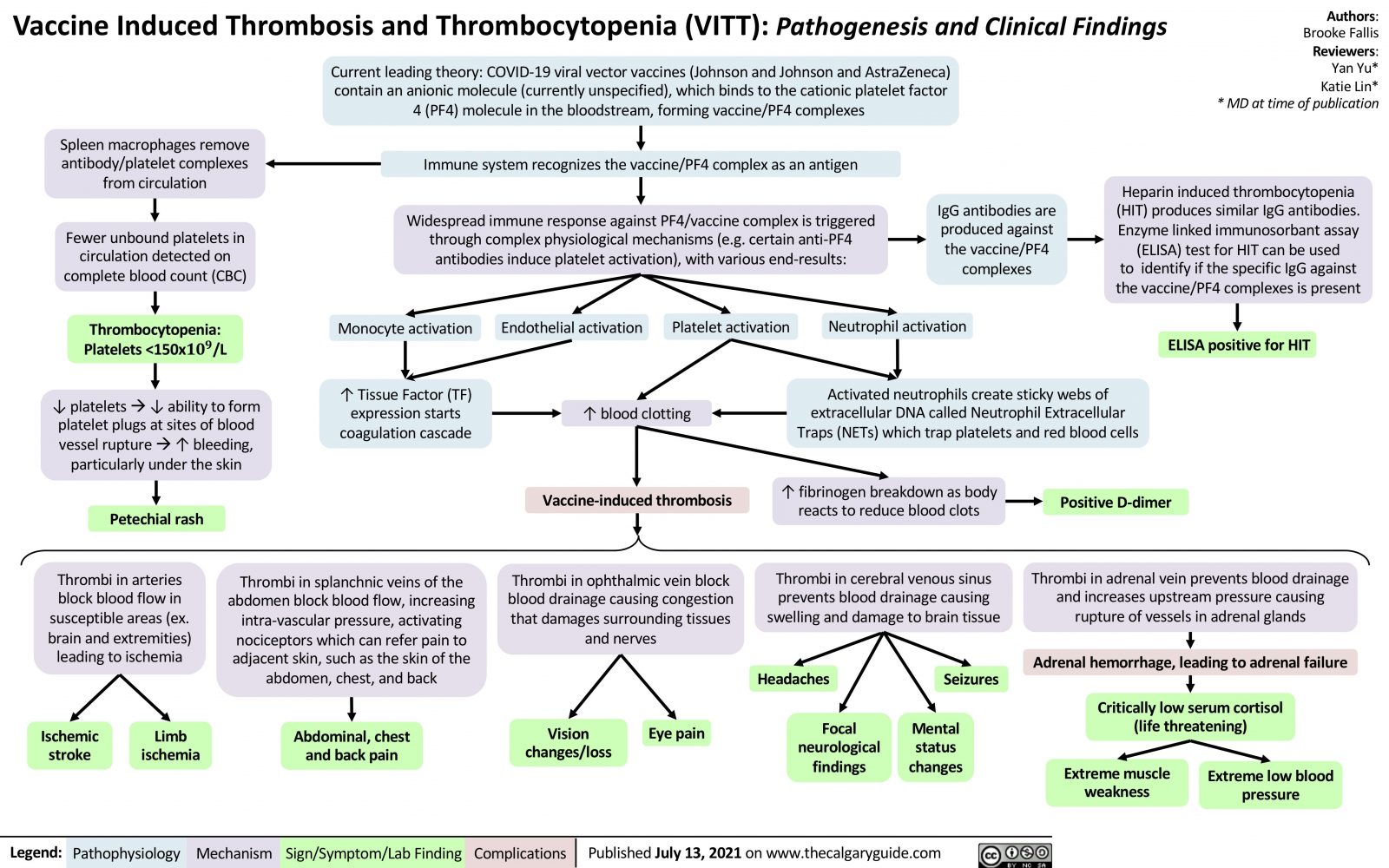 Vaccine Induced Thrombosis and Thrombocytopenia (VITT): Pathogenesis