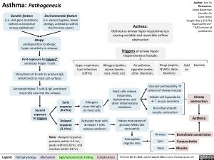 asthma-pathogenesis