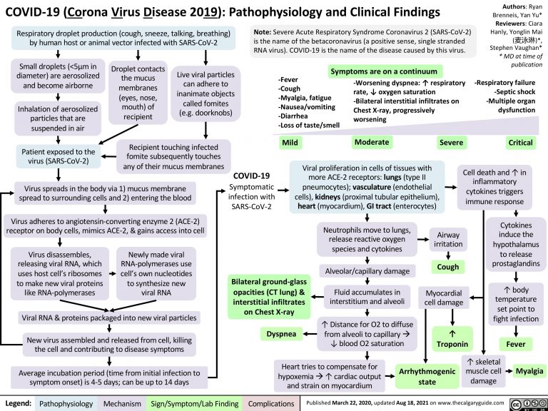 COVID-19: Pathophysiology and Clinical Findings | Calgary Guide