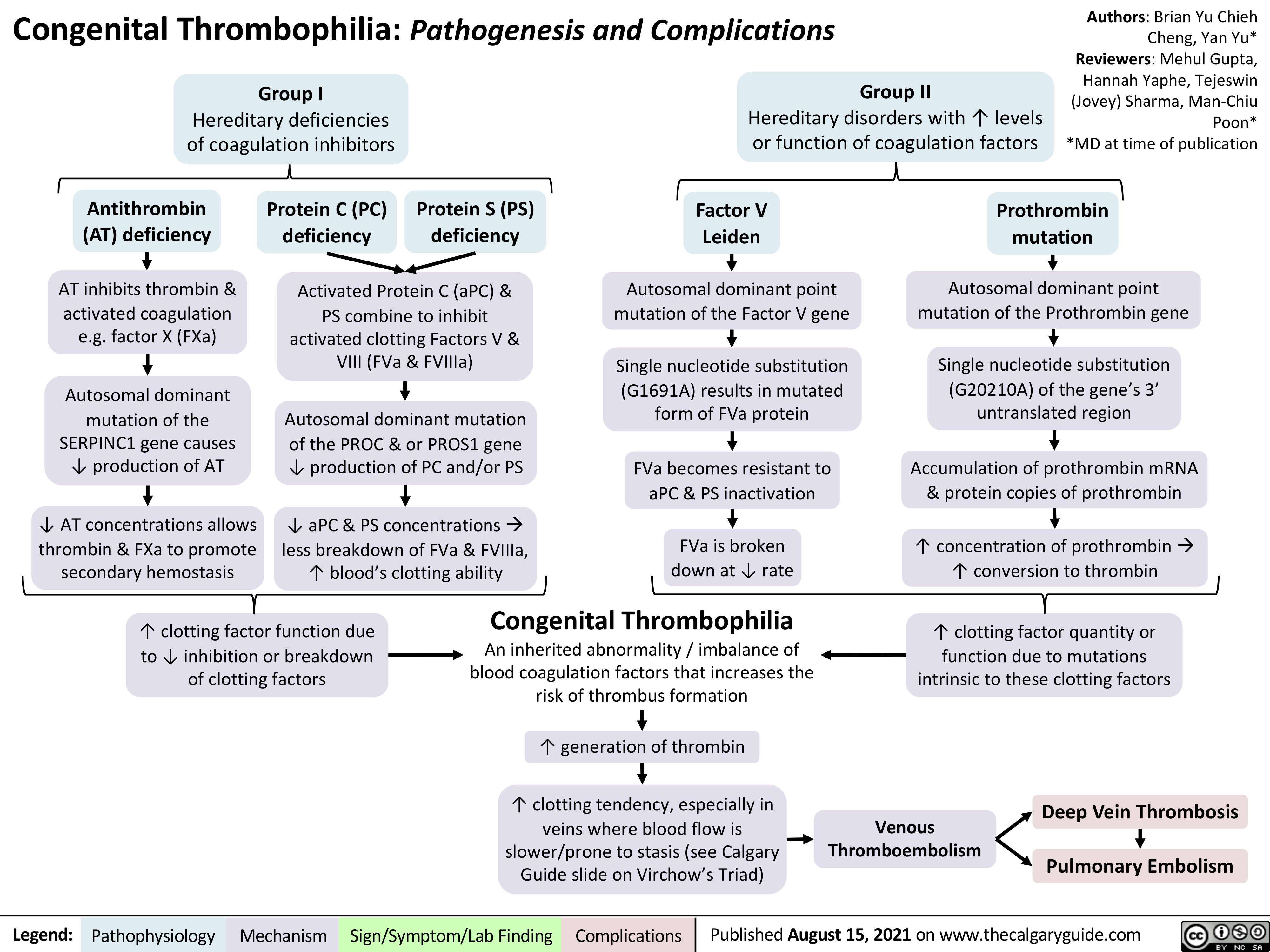 Congenital Thrombophilia: Pathogenesis and Complications
Authors: Brian Yu Chieh Cheng, Yan Yu* Reviewers: Mehul Gupta, Hannah Yaphe, Tejeswin (Jovey) Sharma, Man-Chiu Poon* *MD at time of publication
  Group I
Hereditary deficiencies of coagulation inhibitors
Group II
Hereditary disorders with ↑ levels or function of coagulation factors
       Antithrombin (AT) deficiency
AT inhibits thrombin & activated coagulation e.g. factor X (FXa)
Autosomal dominant mutation of the
SERPINC1 gene causes ↓ production of AT
↓ AT concentrations allows thrombin & FXa to promote secondary hemostasis
Protein C (PC) deficiency
Protein S (PS) deficiency
Factor V Leiden
Autosomal dominant point mutation of the Factor V gene
Single nucleotide substitution (G1691A) results in mutated form of FVa protein
FVa becomes resistant to aPC & PS inactivation
FVa is broken down at ↓ rate
Prothrombin mutation
Autosomal dominant point mutation of the Prothrombin gene
Single nucleotide substitution (G20210A) of the gene’s 3’ untranslated region
Accumulation of prothrombin mRNA & protein copies of prothrombin
↑ concentration of prothrombinà ↑ conversion to thrombin
↑ clotting factor quantity or function due to mutations intrinsic to these clotting factors
         Activated Protein C (aPC) & PS combine to inhibit
activated clotting Factors V & VIII (FVa & FVIIIa)
Autosomal dominant mutation of the PROC & or PROS1 gene ↓ production of PC and/or PS
↓ aPC & PS concentrationsà less breakdown of FVa & FVIIIa, ↑ blood’s clotting ability
                        ↑ clotting factor function due to ↓ inhibition or breakdown of clotting factors
Congenital Thrombophilia
An inherited abnormality / imbalance of blood coagulation factors that increases the risk of thrombus formation
↑ generation of thrombin
↑ clotting tendency, especially in veins where blood flow is slower/prone to stasis (see Calgary Guide slide on Virchow’s Triad)
         Venous Thromboembolism
Deep Vein Thrombosis Pulmonary Embolism
    Legend:
 Pathophysiology
Mechanism
Sign/Symptom/Lab Finding
  Complications
 Published August 15, 2021 on www.thecalgaryguide.com
   