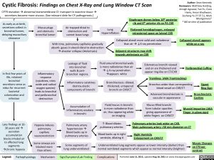 cystic-fibrosis-findings-on-chest-x-ray-and-lung-window-ct-scan