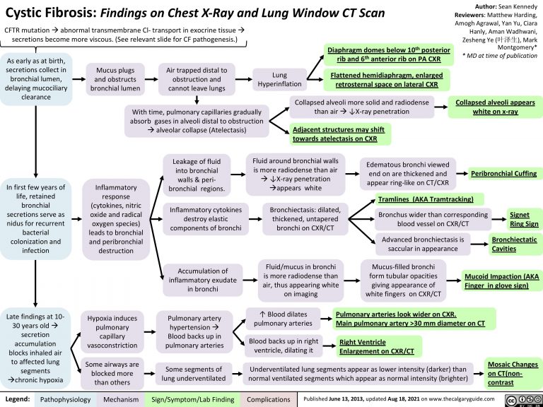 Cystic Fibrosis: Findings on Chest X-Ray and Lung Window CT Scan ...