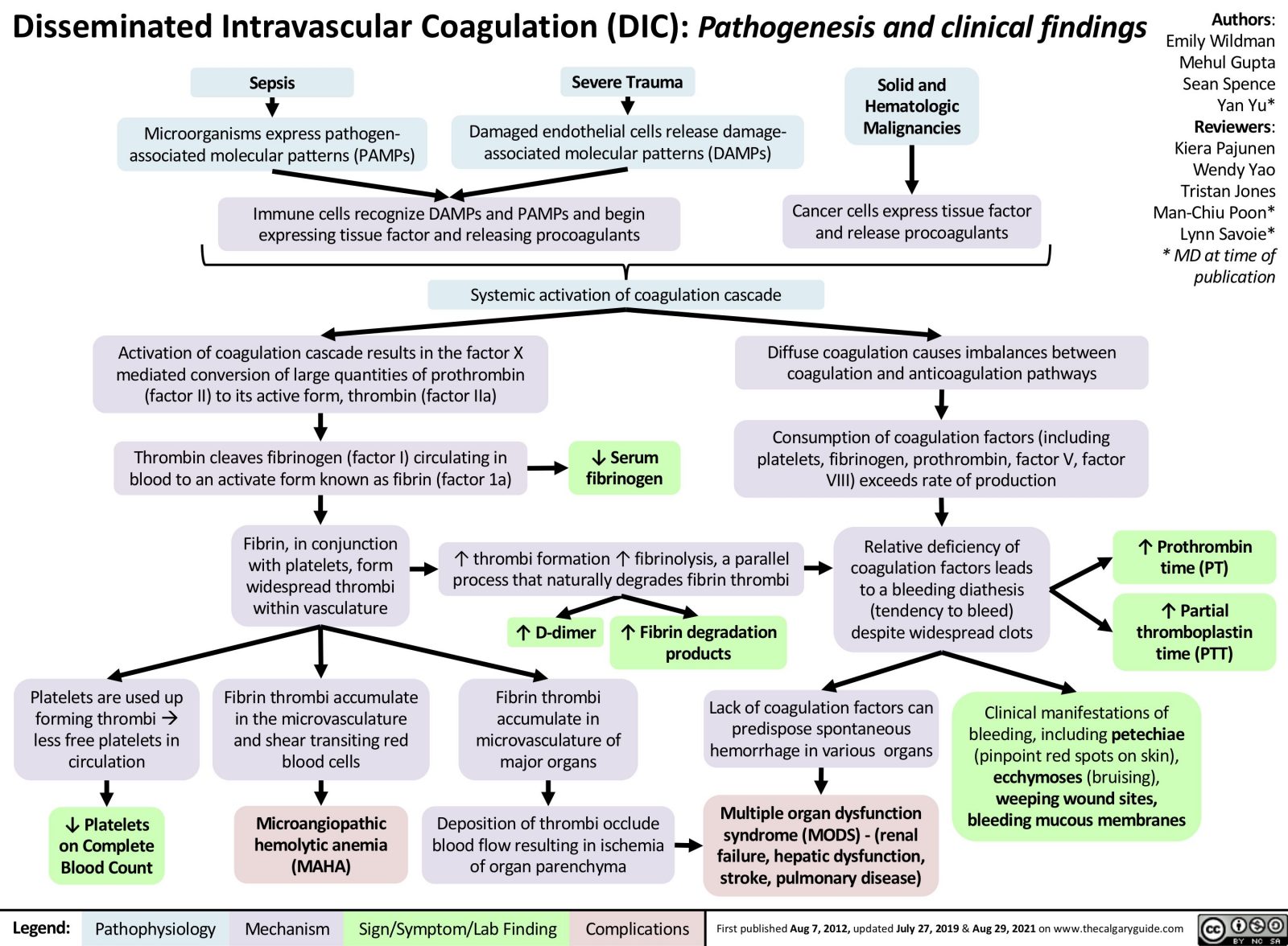 Disseminated Intravascular Coagulation Dic Calgary Guide