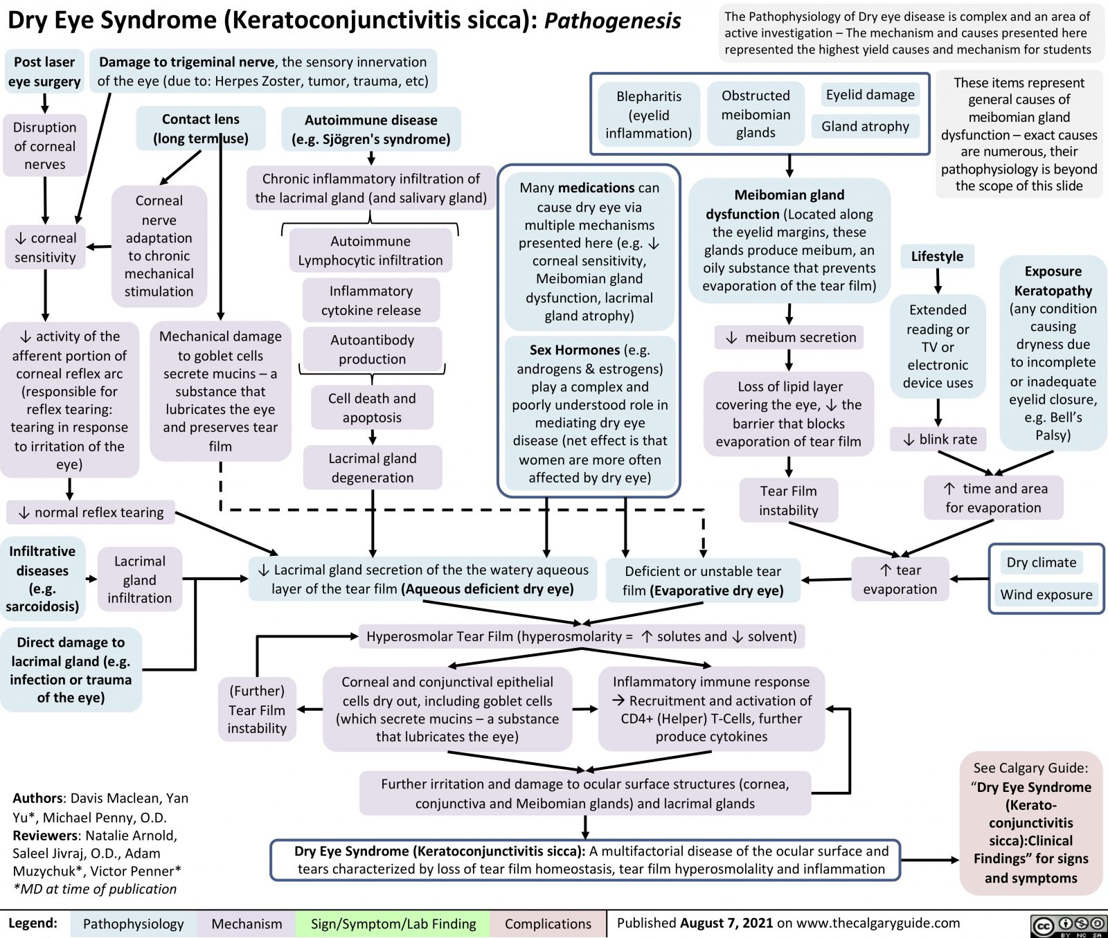 dry-eye-syndrome-pathogenesis-calgary-guide