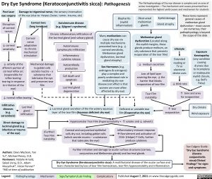 Dry-Eye-Syndrome-Pathogenesis