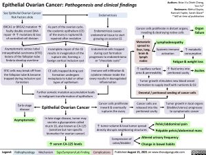 epithelial-ovarian-cancer-pathogenesis-and-clinical-findings