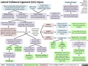 lateral-collateral-ligament-lcl-injury