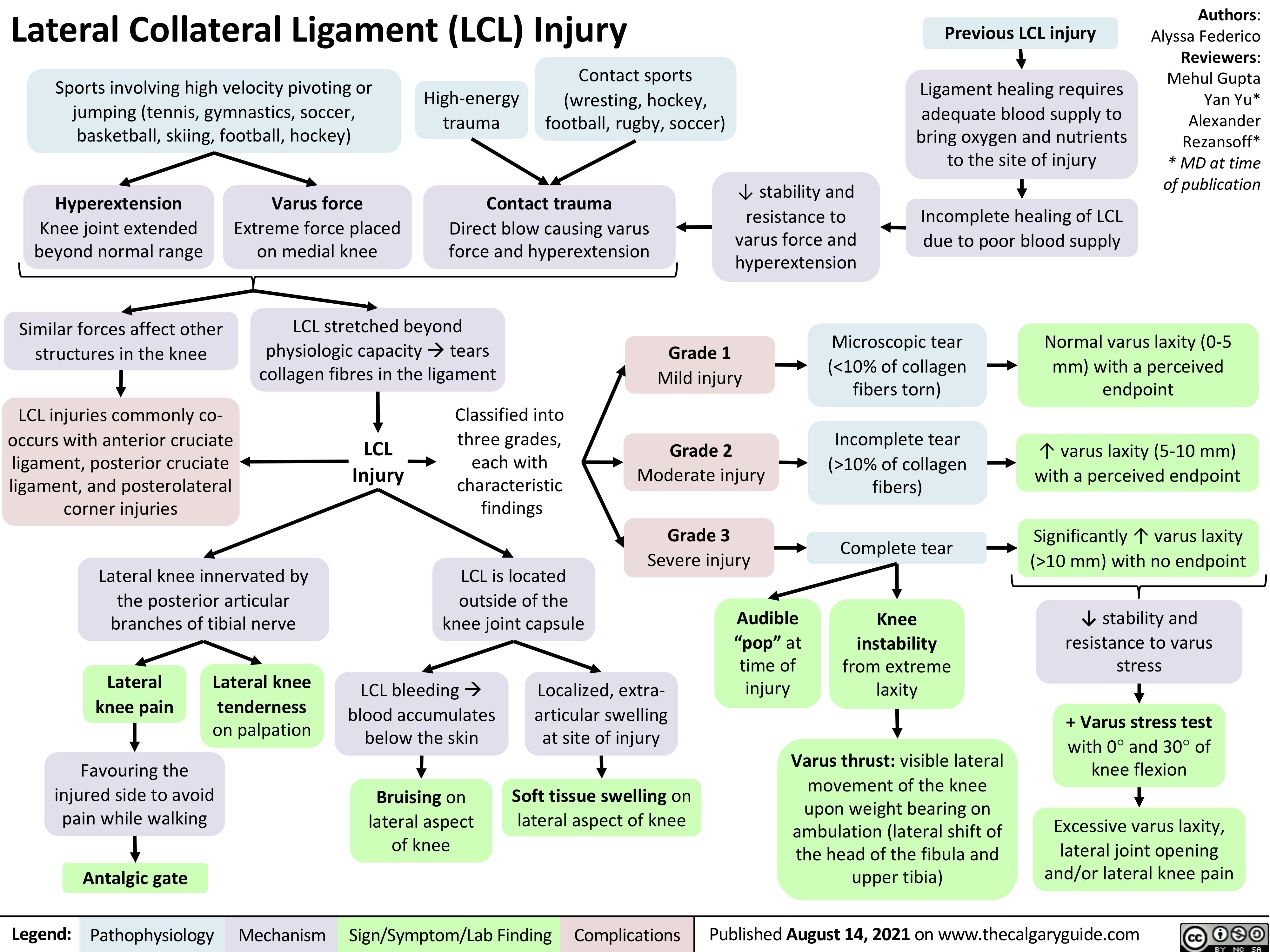 Lateral Collateral Ligament (LCL) Injury
Previous LCL injury
Ligament healing requires
adequate blood supply to bring oxygen and nutrients to the site of injury
Incomplete healing of LCL due to poor blood supply
Authors: Alyssa Federico Reviewers: Mehul Gupta Yan Yu* Alexander Rezansoff* * MD at time of publication
     Sports involving high velocity pivoting or jumping (tennis, gymnastics, soccer, basketball, skiing, football, hockey)
High-energy trauma
Contact sports (wresting, hockey, football, rugby, soccer)
         Hyperextension
Knee joint extended beyond normal range
Similar forces affect other structures in the knee
LCL injuries commonly co- occurs with anterior cruciate ligament, posterior cruciate ligament, and posterolateral corner injuries
Lateral knee innervated by the posterior articular branches of tibial nerve
↓ stability and resistance to varus force and hyperextension
Varus force
Extreme force placed on medial knee
Contact trauma
Direct blow causing varus force and hyperextension
        LCL stretched beyond physiologic capacityàtears collagen fibres in the ligament
Grade 1
Mild injury
Grade 2
Moderate injury
Grade 3
Severe injury
Microscopic tear (<10% of collagen fibers torn)
Incomplete tear (>10% of collagen fibers)
Complete tear
Knee instability from extreme laxity
Normal varus laxity (0-5 mm) with a perceived endpoint
↑ varus laxity (5-10 mm) with a perceived endpoint
Significantly ↑ varus laxity (>10 mm) with no endpoint
↓ stability and resistance to varus stress
+ Varus stress test
with 0° and 30° of knee flexion
Excessive varus laxity, lateral joint opening and/or lateral knee pain
            LCL Injury
Classified into three grades, each with characteristic
findings
LCL is located outside of the knee joint capsule
                      Lateral knee pain
Lateral knee tenderness on palpation
LCL bleedingà blood accumulates below the skin
Bruising on lateral aspect of knee
Localized, extra- articular swelling at site of injury
Soft tissue swelling on lateral aspect of knee
Audible “pop” at time of injury
          Favouring the injured side to avoid pain while walking
Antalgic gate
Varus thrust: visible lateral movement of the knee upon weight bearing on ambulation (lateral shift of the head of the fibula and upper tibia)
       Legend:
 Pathophysiology
Mechanism
Sign/Symptom/Lab Finding
  Complications
Published August 14, 2021 on www.thecalgaryguide.com
    
