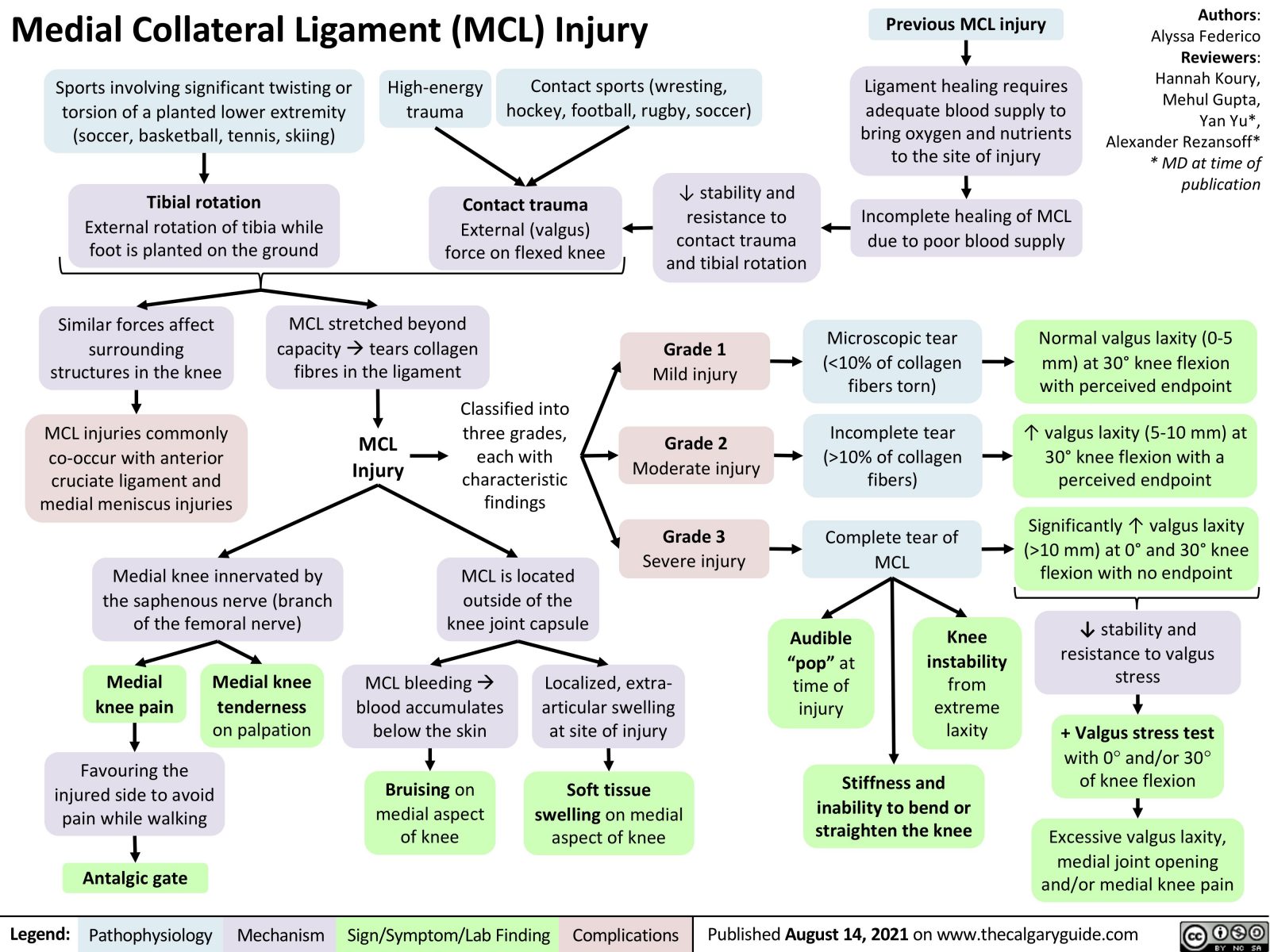 Medial Collateral Ligament (MCL) Injury | Calgary Guide