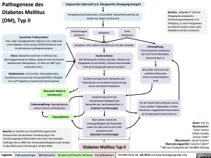 Pathogenese des Diabetes Mellitus (DM), Typ II
