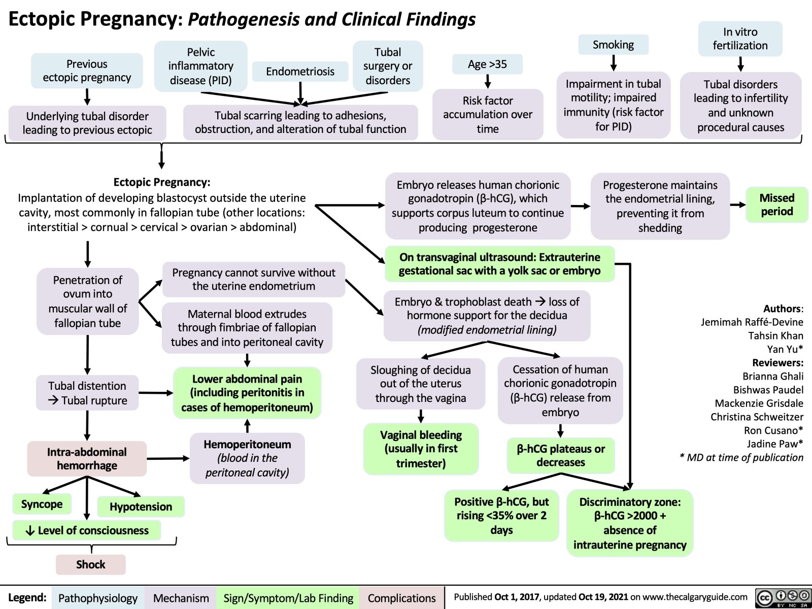 Ectopic Pregnancy | Calgary Guide