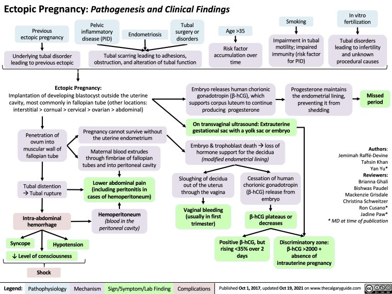 Ectopic Pregnancy | Calgary Guide