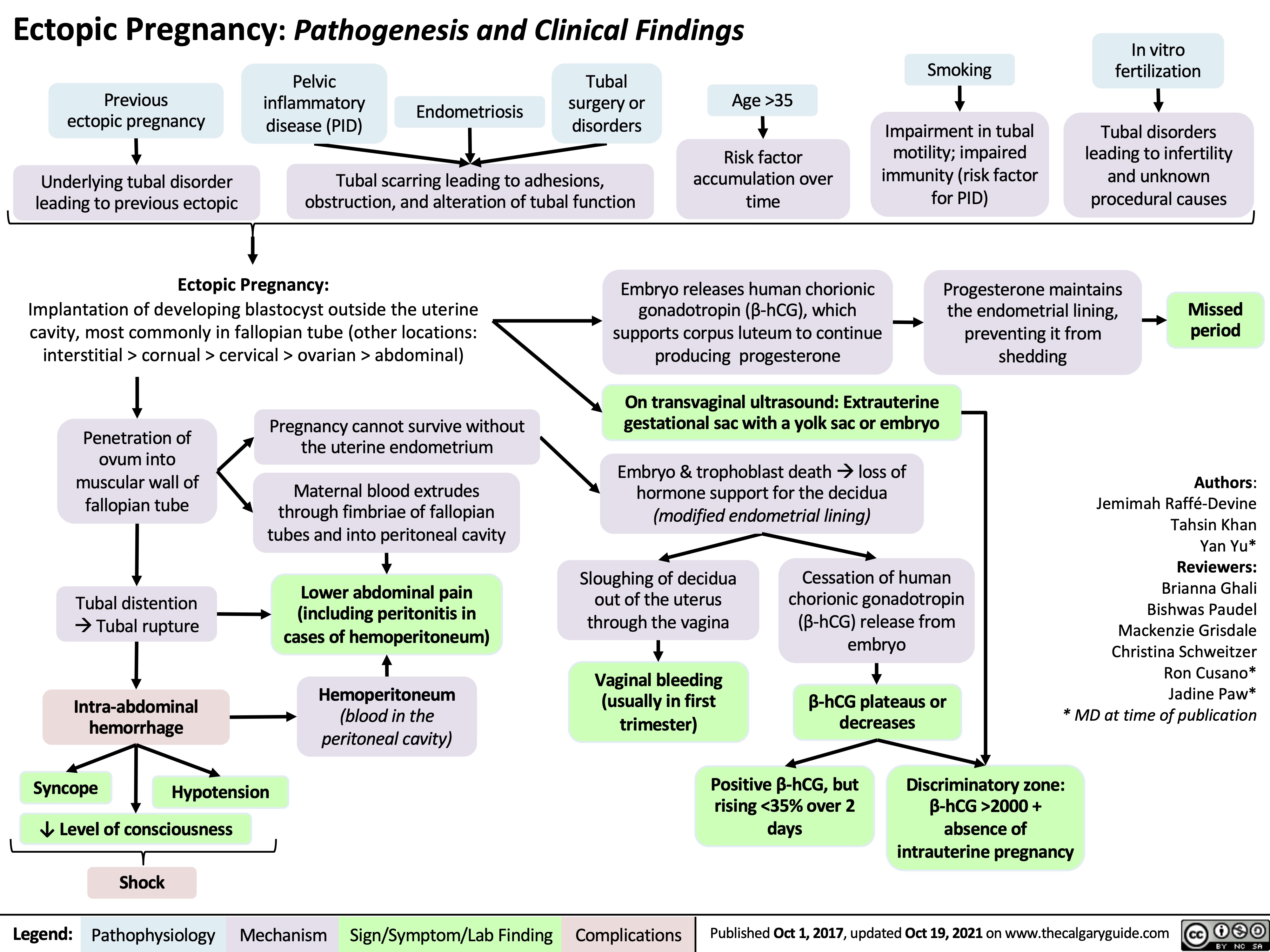 Ectopic Pregnancy: Pathogenesis and Clinical Findings
In vitro fertilization
Tubal disorders leading to infertility and unknown procedural causes
      Previous ectopic pregnancy
Underlying tubal disorder leading to previous ectopic
Pelvic inflammatory disease (PID)
Endometriosis
Tubal surgery or disorders
Age >35
Risk factor accumulation over time
Smoking
Impairment in tubal motility; impaired immunity (risk factor for PID)
        Tubal scarring leading to adhesions, obstruction, and alteration of tubal function
   Ectopic Pregnancy:
Implantation of developing blastocyst outside the uterine cavity, most commonly in fallopian tube (other locations: interstitial > cornual > cervical > ovarian > abdominal)
Embryo releases human chorionic gonadotropin (β-hCG), which supports corpus luteum to continue producing progesterone
On transvaginal ultrasound: Extrauterine gestational sac with a yolk sac or embryo
Embryo & trophoblast deathàloss of hormone support for the decidua (modified endometrial lining)
Progesterone maintains the endometrial lining, preventing it from shedding
Missed period
       Penetration of ovum into muscular wall of fallopian tube
Tubal distention àTubal rupture
Intra-abdominal hemorrhage
Pregnancy cannot survive without the uterine endometrium
Maternal blood extrudes through fimbriae of fallopian tubes and into peritoneal cavity
Lower abdominal pain (including peritonitis in cases of hemoperitoneum)
Hemoperitoneum
(blood in the peritoneal cavity)
Sloughing of decidua out of the uterus through the vagina
Vaginal bleeding (usually in first trimester)
Cessation of human chorionic gonadotropin (β-hCG) release from embryo
β-hCG plateaus or decreases
Authors: Jemimah Raffé-Devine Tahsin Khan Yan Yu* Reviewers: Brianna Ghali Bishwas Paudel Mackenzie Grisdale Christina Schweitzer Ron Cusano* Jadine Paw* * MD at time of publication
                     Syncope
↓ Level of consciousness
Positive β-hCG, but rising <35% over 2 days
Discriminatory zone: β-hCG >2000 + absence of intrauterine pregnancy
 Hypotension
   Shock
 Legend:
 Pathophysiology
 Mechanism
Sign/Symptom/Lab Finding
 Complications
 Published Oct 1, 2017, updated Oct 19, 2021 on www.thecalgaryguide.com
  