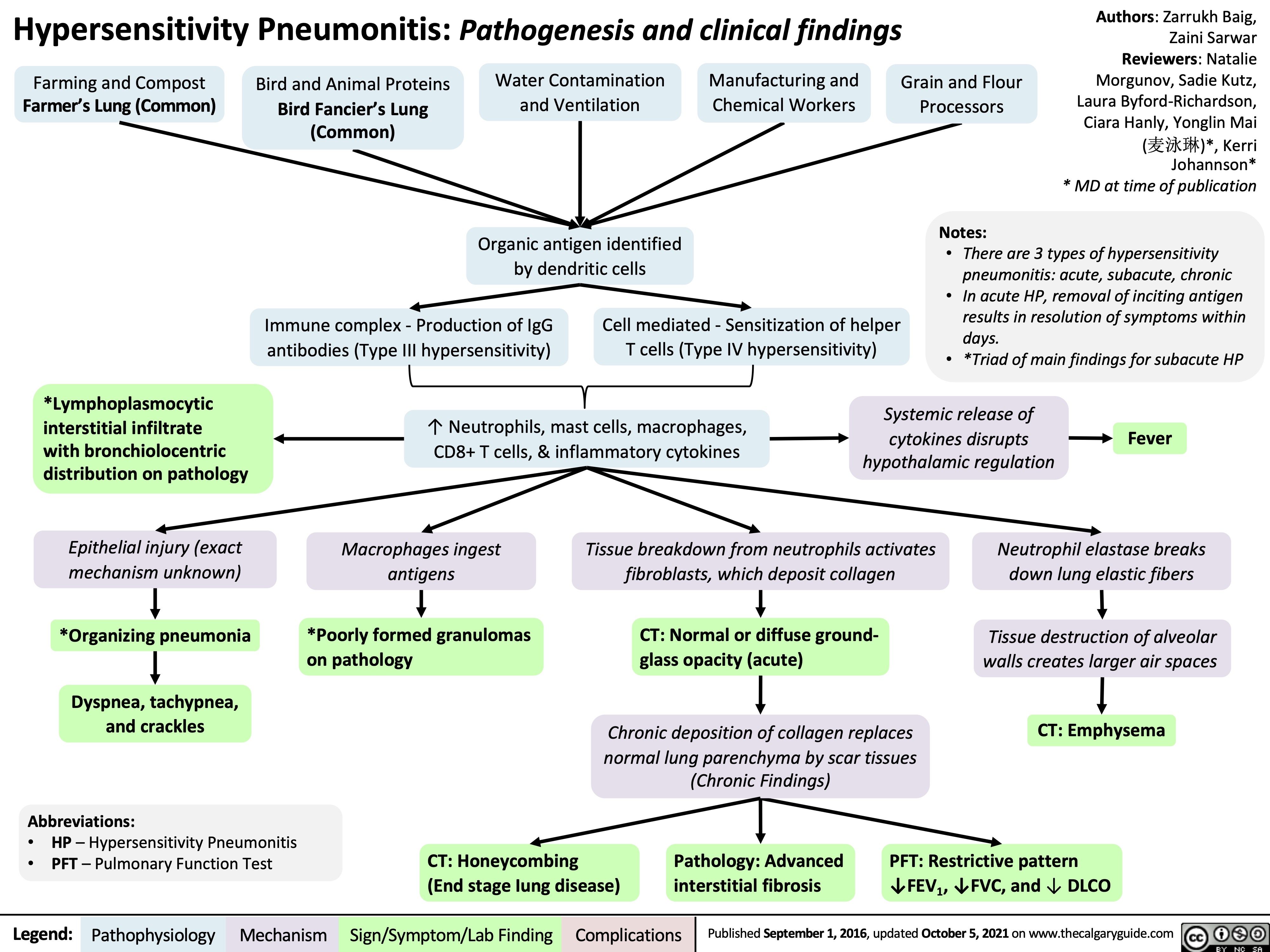Hypersensitivity Pneumonitis: Pathogenesis and clinical findings
Authors: Zarrukh Baig, Zaini Sarwar Reviewers: Natalie Morgunov, Sadie Kutz, Laura Byford-Richardson, Ciara Hanly, Yonglin Mai (麦泳琳)*, Kerri Johannson* * MD at time of publication
     Farming and Compost
Farmer’s Lung (Common)
Bird and Animal Proteins
Bird Fancier’s Lung (Common)
Water Contamination and Ventilation
Organic antigen identified by dendritic cells
Manufacturing and Chemical Workers
Grain and Flour Processors
Notes:
       Immune complex - Production of IgG antibodies (Type III hypersensitivity)
Cell mediated - Sensitization of helper T cells (Type IV hypersensitivity)
• Thereare3typesofhypersensitivity pneumonitis: acute, subacute, chronic
• InacuteHP,removalofincitingantigen results in resolution of symptoms within days.
  *Lymphoplasmocytic interstitial infiltrate
with bronchiolocentric distribution on pathology
Epithelial injury (exact mechanism unknown)
*Organizing pneumonia
Dyspnea, tachypnea, and crackles
Abbreviations:
• HP – Hypersensitivity Pneumonitis
• PFT – Pulmonary Function Test
↑ Neutrophils, mast cells, macrophages, CD8+ T cells, & inflammatory cytokines
• *TriadofmainfindingsforsubacuteHP Systemic release of
   cytokines disrupts hypothalamic regulation
Fever
        Macrophages ingest antigens
*Poorly formed granulomas on pathology
Tissue breakdown from neutrophils activates fibroblasts, which deposit collagen
CT: Normal or diffuse ground- glass opacity (acute)
Chronic deposition of collagen replaces normal lung parenchyma by scar tissues (Chronic Findings)
Neutrophil elastase breaks down lung elastic fibers
Tissue destruction of alveolar walls creates larger air spaces
CT: Emphysema
             CT: Honeycombing
(End stage Iung disease)
Pathology: Advanced interstitial fibrosis
PFT: Restrictive pattern ↓FEV1, ↓FVC, and ↓ DLCO
 Legend:
 Pathophysiology
 Mechanism
Sign/Symptom/Lab Finding
 Complications
 Published September 1, 2016, updated October 5, 2021 on www.thecalgaryguide.com
  