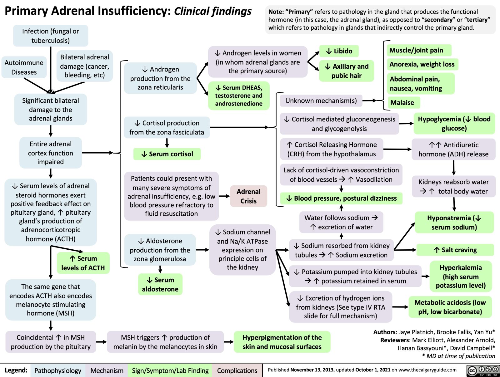 What Blood Test Shows Adrenal Insufficiency