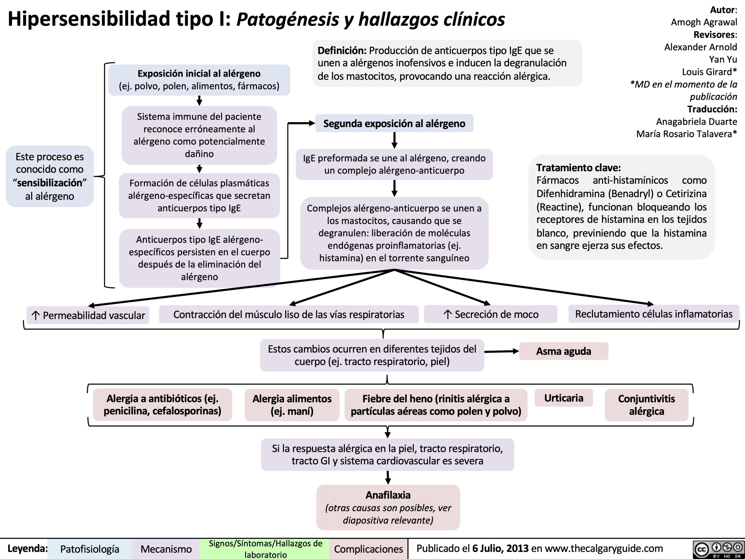 hipersensibilidad-tipo-i-patogenesis-y-hallazgos-clinicos