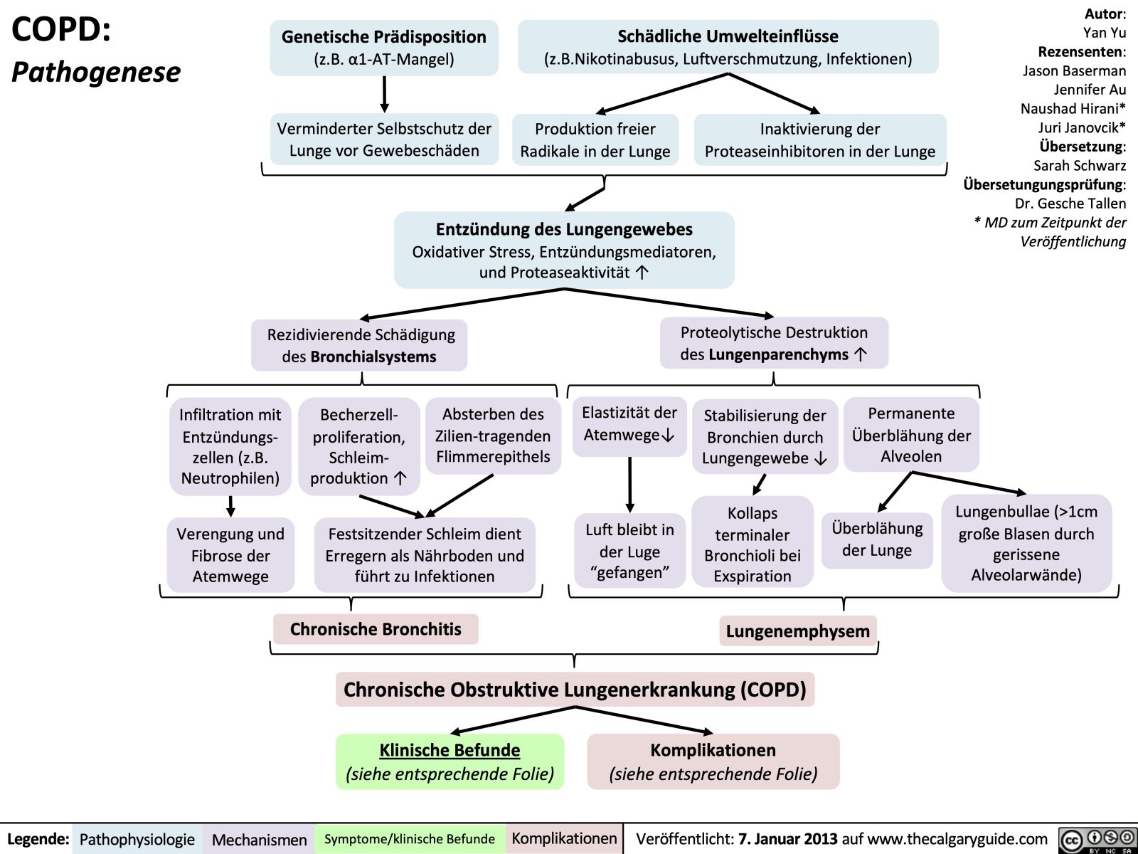 Copd Pathogenese Calgary Guide 