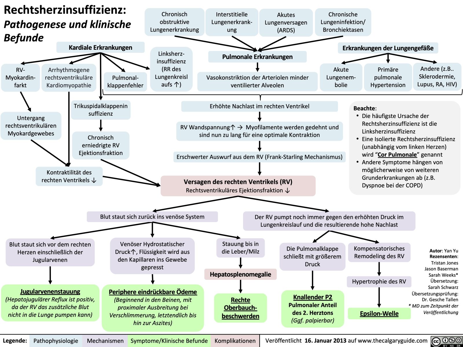 Rechtsherzinsuffizienz: Pathogenese und klinische Befunde | Calgary Guide