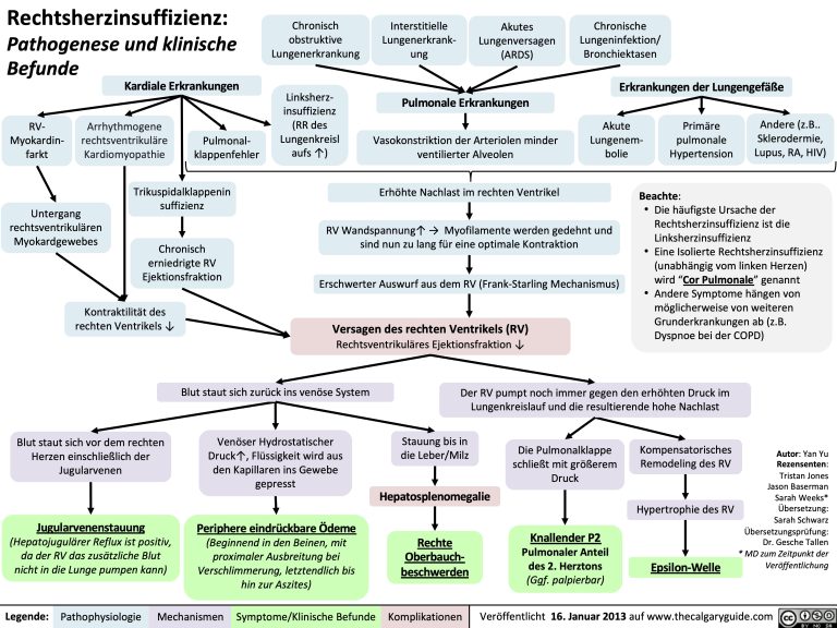 rechtsherzinsuffizienz-pathogenese-und-klinische-befunde | Calgary Guide