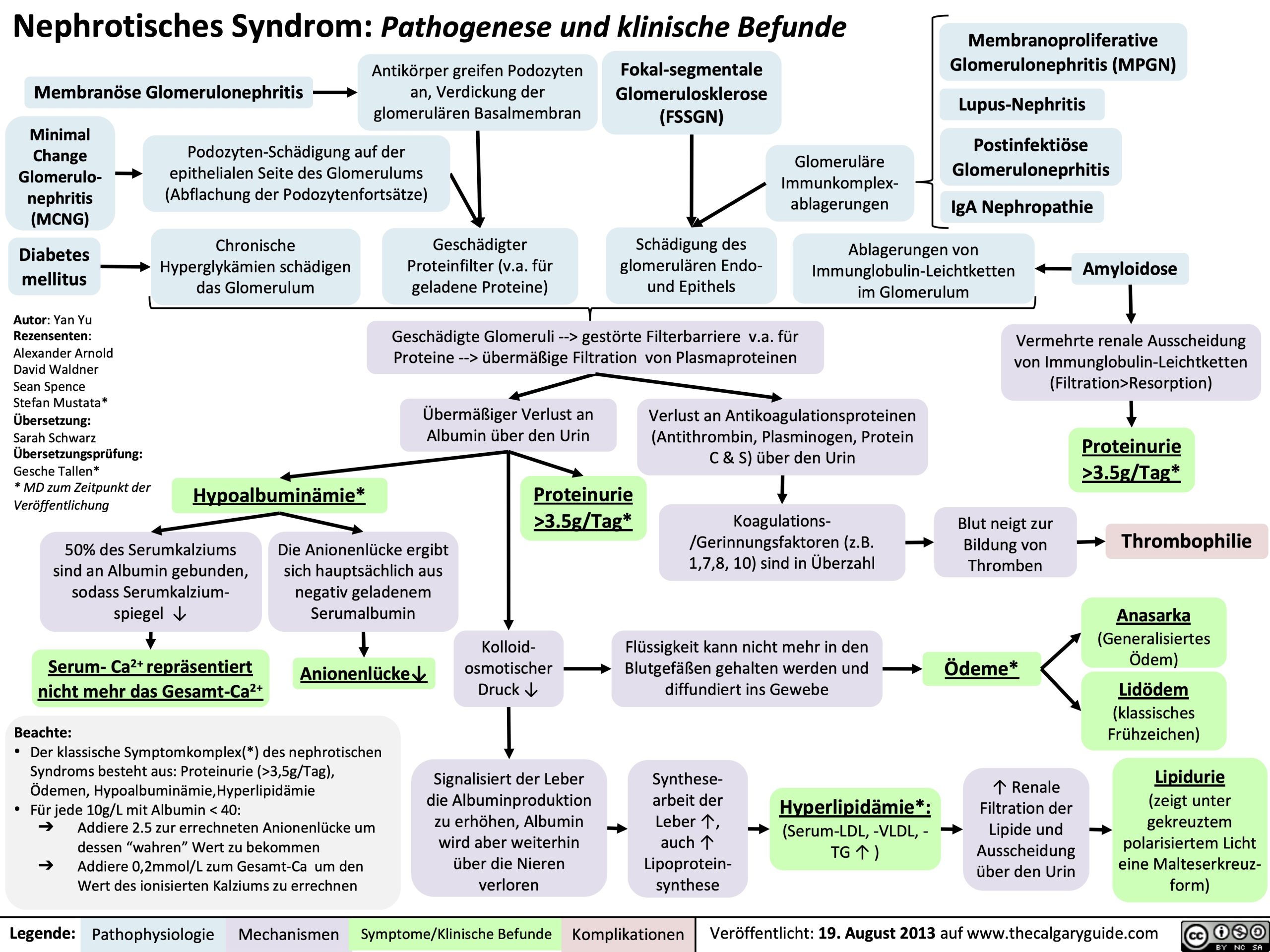 Nephrotisches Syndrom: Pathogenese und klinische Befunde