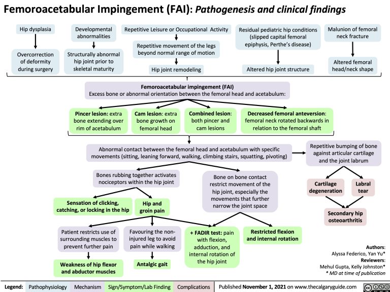 Femoroacetabular Impingement (FAI): Pathogenesis and clinical findings ...