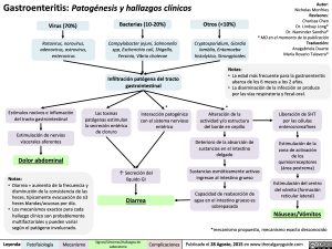 gastroenteritis-patogenesis-y-hallazgos-clinicos