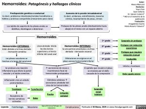 hemorroides-patogenesis-y-hallazgos-clinicos