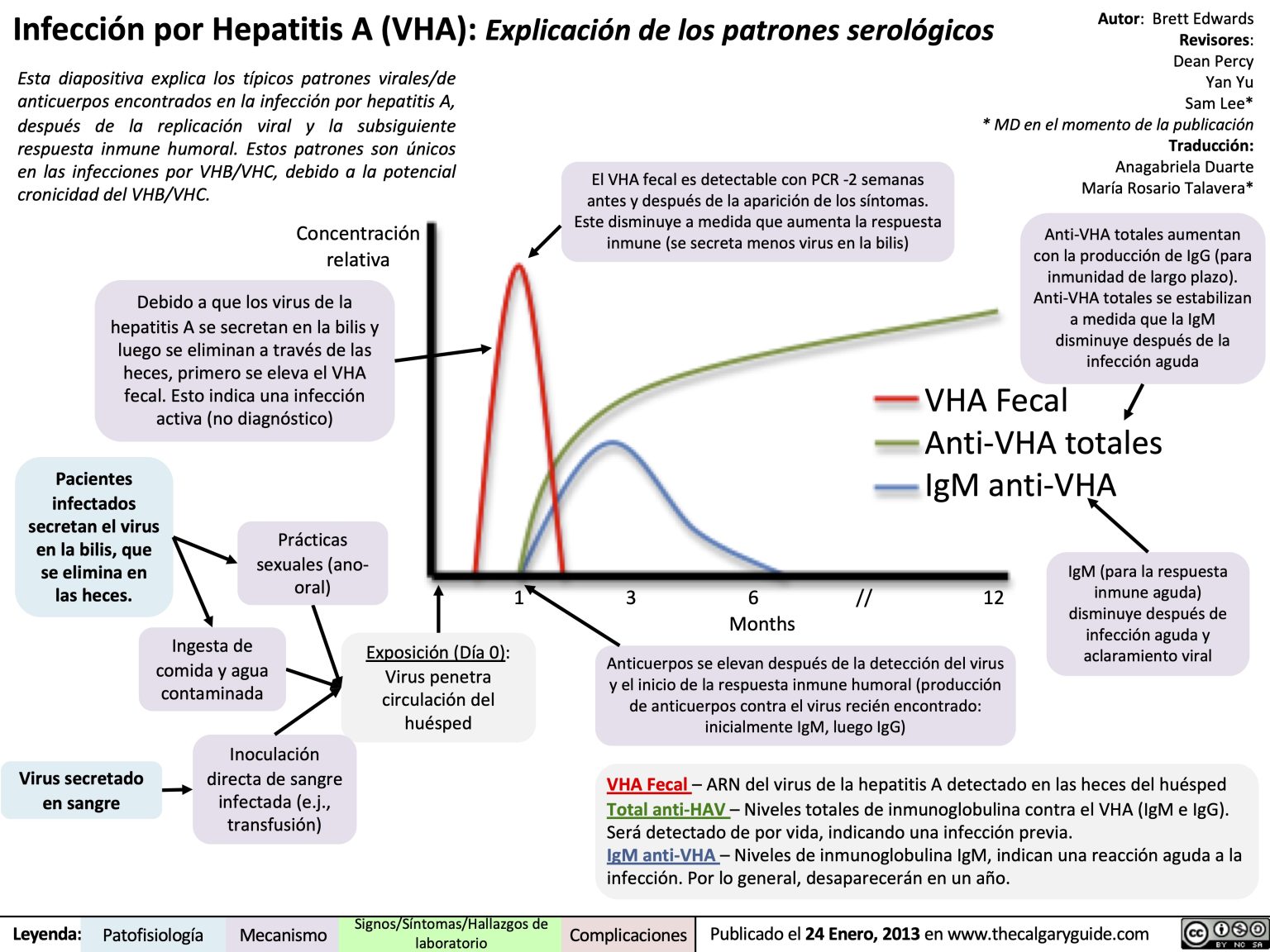 infecci-n-por-hepatitis-a-vha-explicaci-n-de-los-patrones