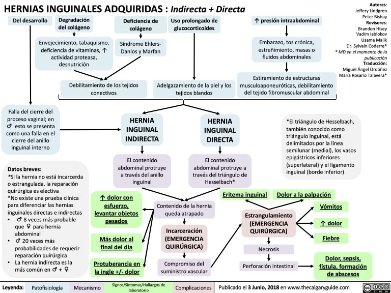 Hernias Inguinales Adquiridas : Indirecta + Directa | Calgary Guide