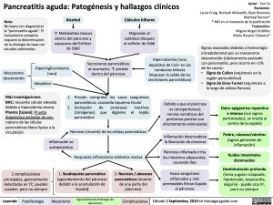 pancreatitis-aguda-patogenesis-y-hallazgos-clinicos