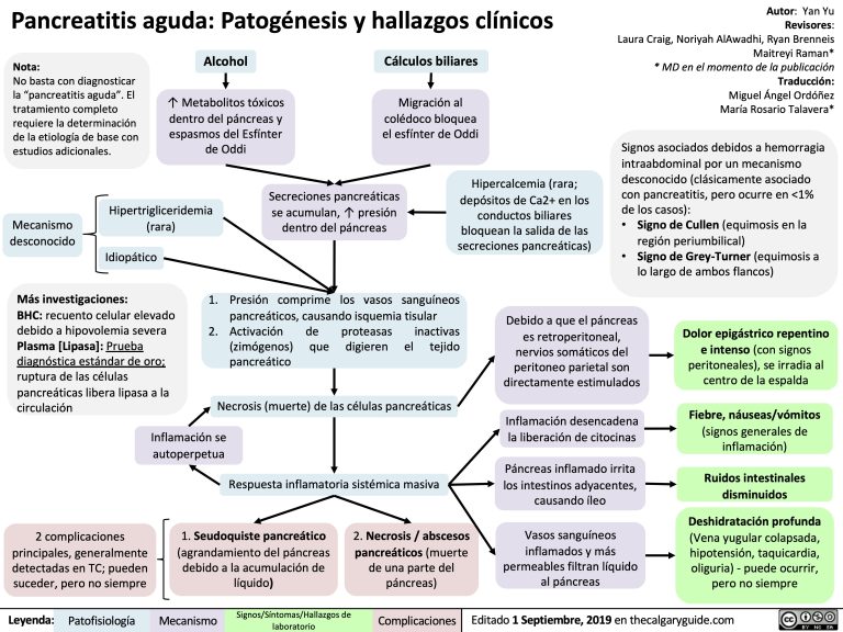 Pancreatitis aguda: Patogénesis y hallazgos clínicos | Calgary Guide