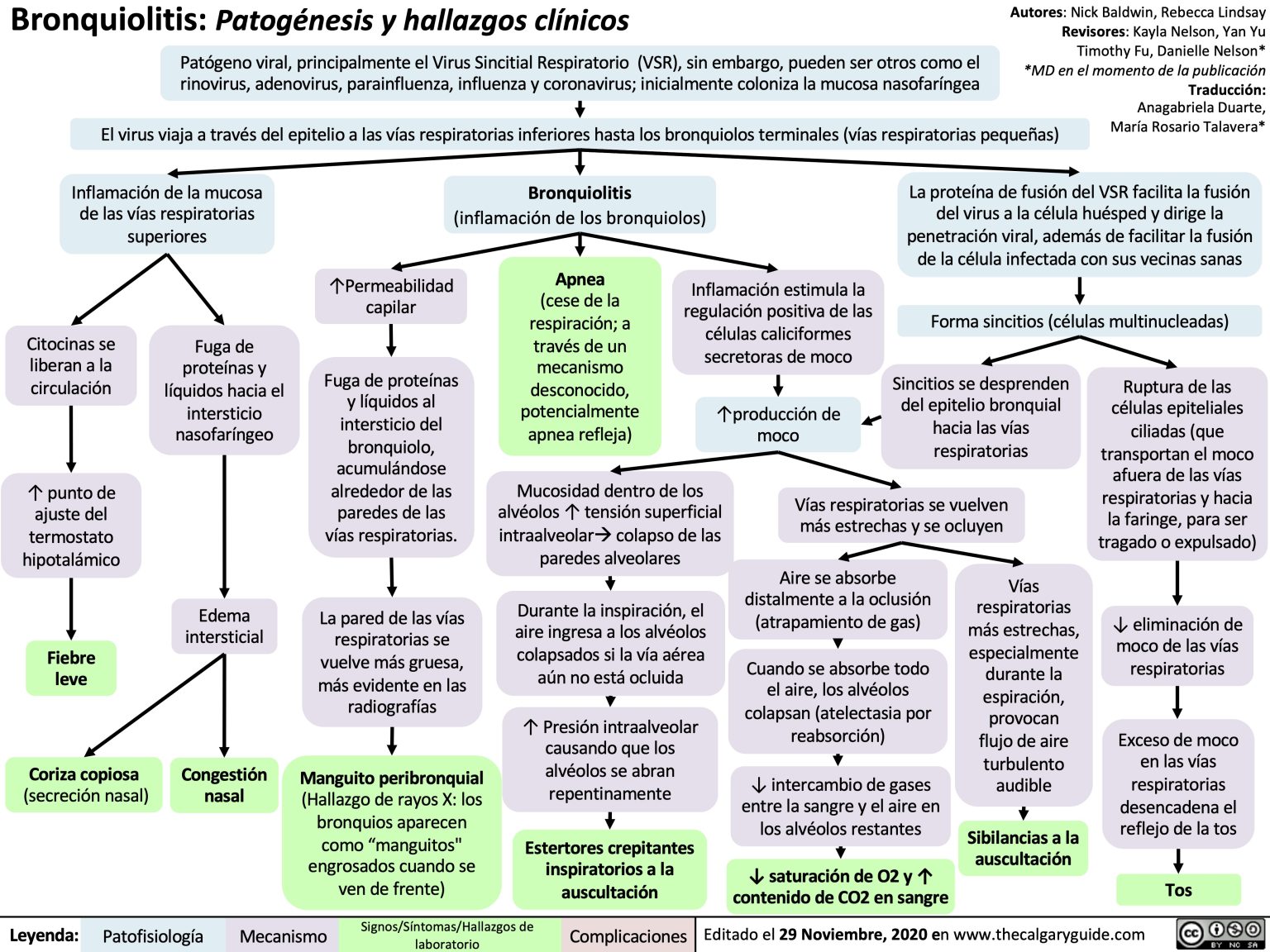 Bronquiolitis: Patogénesis y hallazgos clínicos | Calgary Guide