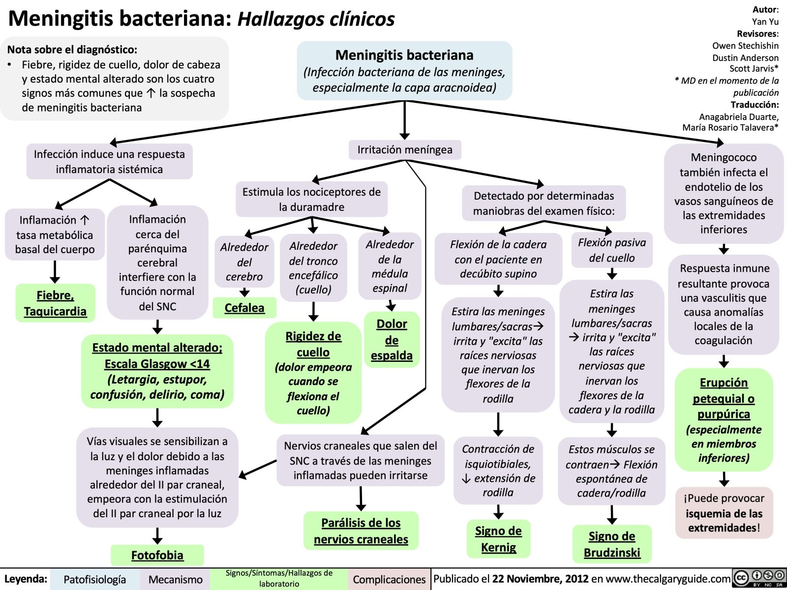 Meningitis bacteriana: Hallazgos clínicos | Calgary Guide