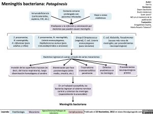 meningitis-bacteriana-patogenesis