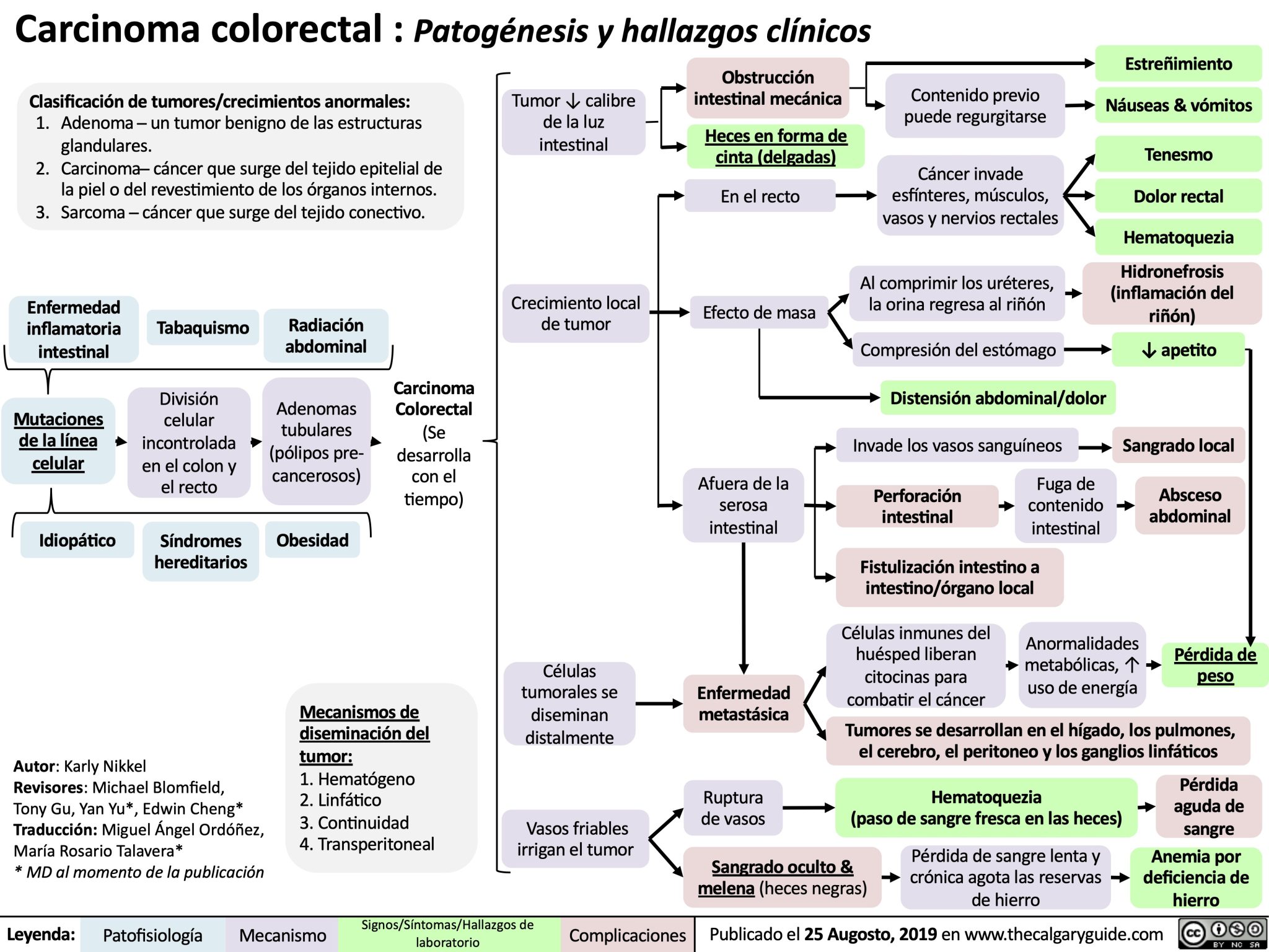 Carcinoma colorectal : Patogénesis y hallazgos clínicos | Calgary Guide