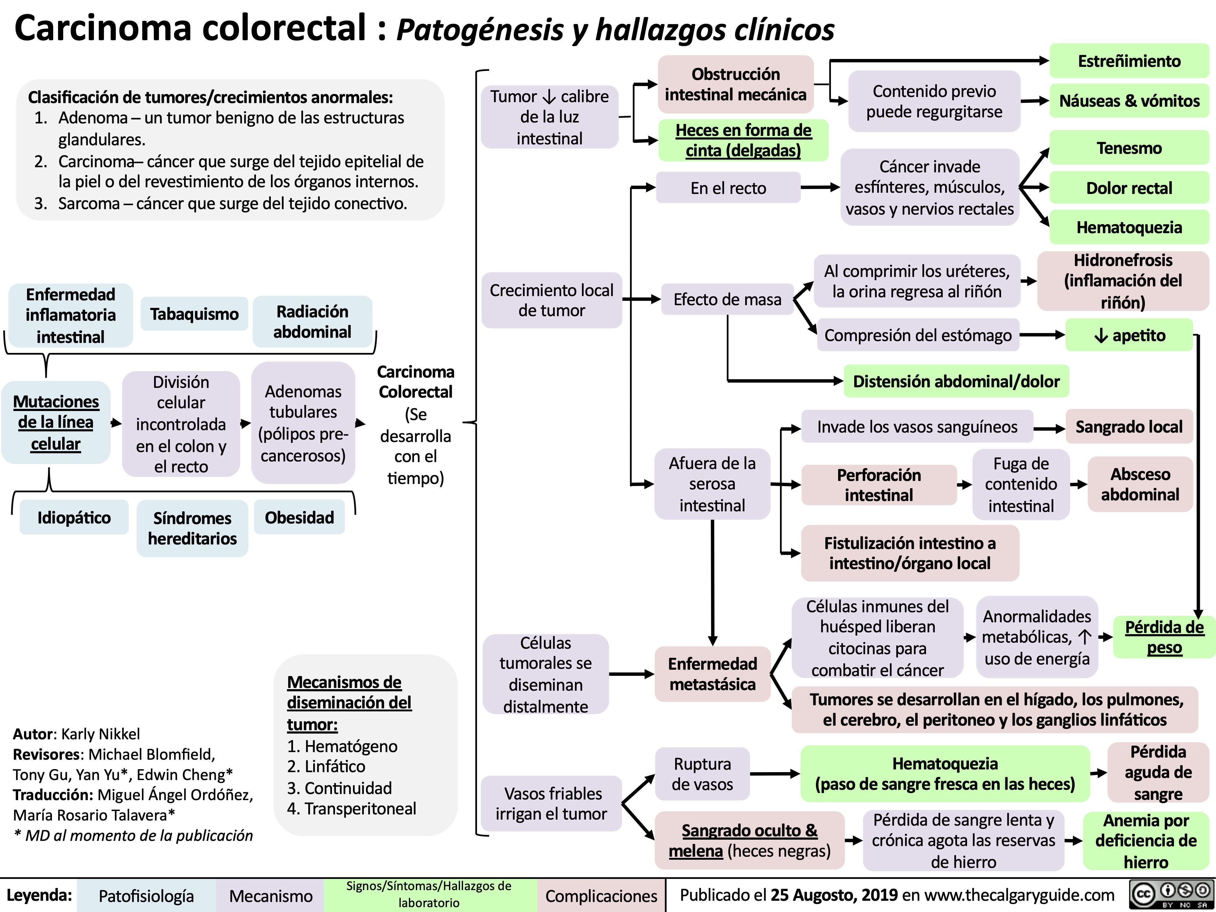 carcinoma-colorectal-patogenesis-y-hallazgos-clinicos