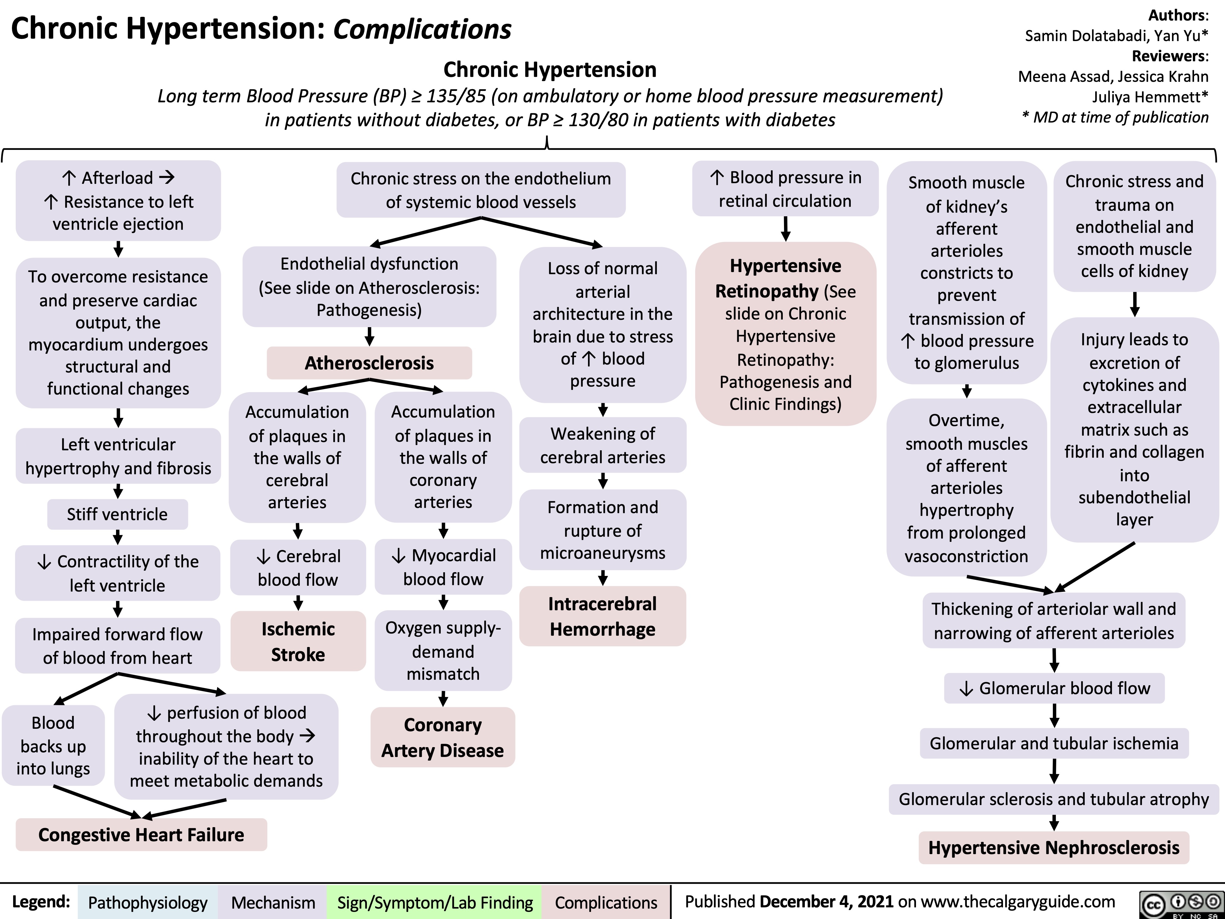 Chronic Hypertension: Complications
Chronic Hypertension
Long term Blood Pressure (BP) ≥ 135/85 (on ambulatory or home blood pressure measurement) in patients without diabetes, or BP ≥ 130/80 in patients with diabetes
Authors: Samin Dolatabadi, Yan Yu* Reviewers: Meena Assad, Jessica Krahn Juliya Hemmett* * MD at time of publication
      ↑ Afterloadà ↑ Resistance to left ventricle ejection
To overcome resistance and preserve cardiac
output, the myocardium undergoes structural and functional changes
Left ventricular hypertrophy and fibrosis
Stiff ventricle
↓ Contractility of the left ventricle
Impaired forward flow of blood from heart
Chronic stress on the endothelium of systemic blood vessels
↑ Blood pressure in retinal circulation
Hypertensive Retinopathy (See
slide on Chronic Hypertensive Retinopathy: Pathogenesis and Clinic Findings)
Smooth muscle of kidney’s
afferent arterioles constricts to prevent transmission of ↑ blood pressure to glomerulus
Overtime, smooth muscles of afferent arterioles hypertrophy from prolonged vasoconstriction
Chronic stress and trauma on endothelial and smooth muscle cells of kidney
Injury leads to excretion of cytokines and extracellular matrix such as fibrin and collagen into subendothelial layer
     Endothelial dysfunction (See slide on Atherosclerosis: Pathogenesis)
Atherosclerosis
Loss of normal arterial architecture in the brain due to stress of ↑ blood pressure
Weakening of cerebral arteries
Formation and rupture of microaneurysms
Intracerebral Hemorrhage
       Accumulation of plaques in
the walls of cerebral arteries
↓ Cerebral blood flow
Ischemic Stroke
Accumulation of plaques in
the walls of coronary arteries
↓ Myocardial blood flow
Oxygen supply- demand mismatch
Coronary Artery Disease
Thickening of arteriolar wall and narrowing of afferent arterioles
↓ Glomerular blood flow
Glomerular and tubular ischemia
Glomerular sclerosis and tubular atrophy
                  Blood backs up into lungs
↓ perfusion of blood throughout the bodyà inability of the heart to meet metabolic demands
     Congestive Heart Failure
Hypertensive Nephrosclerosis
  Legend:
 Pathophysiology
 Mechanism
Sign/Symptom/Lab Finding
 Complications
Published December 4, 2021 on www.thecalgaryguide.com
   