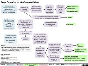 crup-patogenesis-y-hallazgos-clinicos