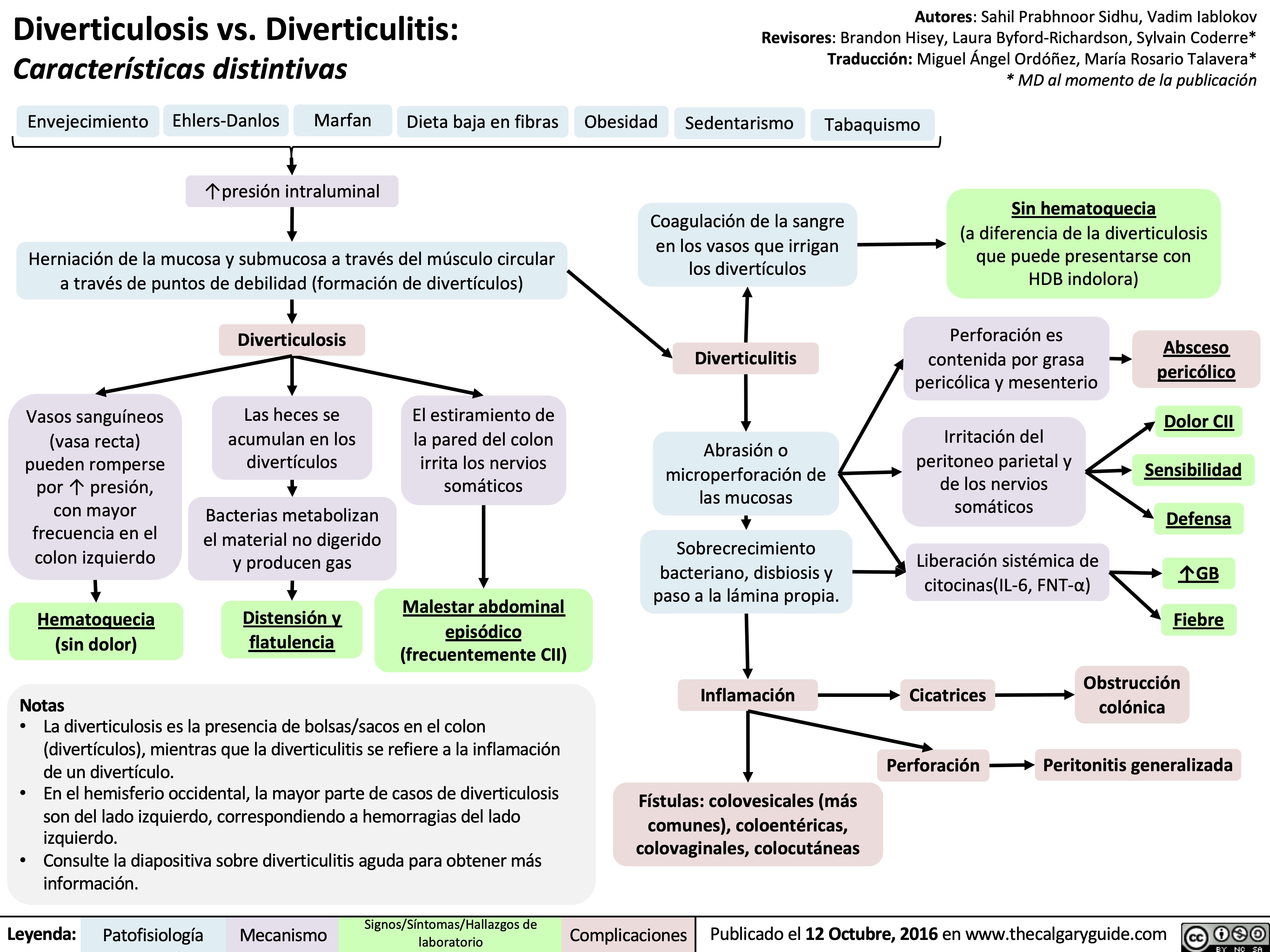 Diverticulosis vs. Diverticulitis: Características distintivas