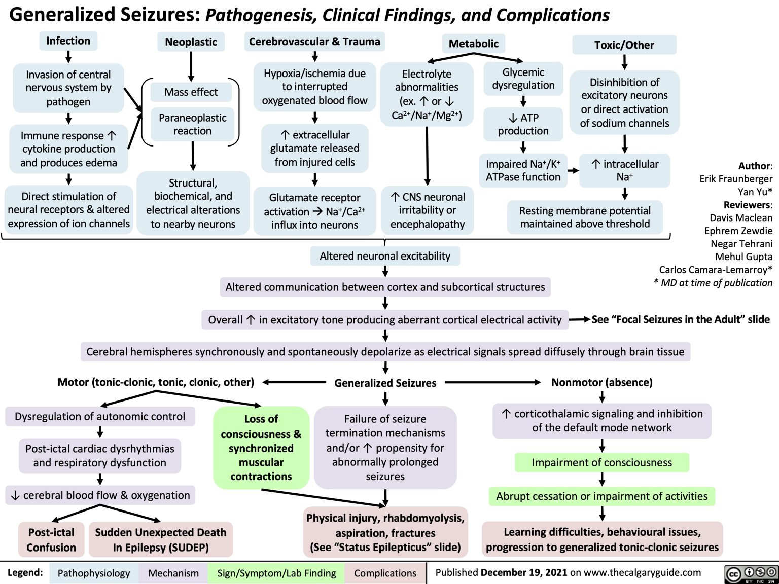 Generalized Seizures: Pathogenesis, Clinical Findings, And ...