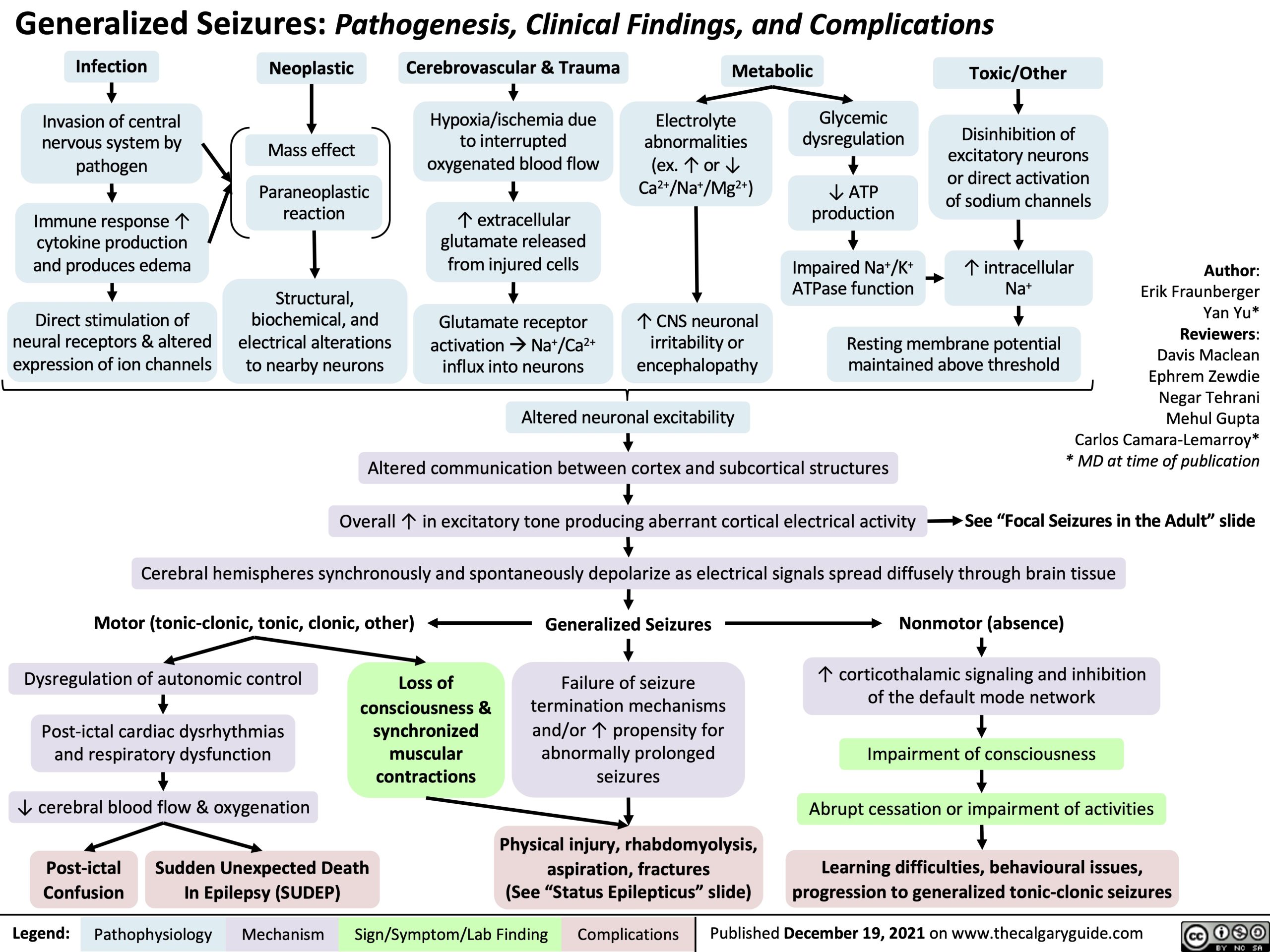 Generalized Seizures Pathogenesis Clinical Findings And