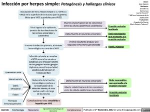infeccion-por-herpes-simple-patogenesis-y-hallazgos-clinicos