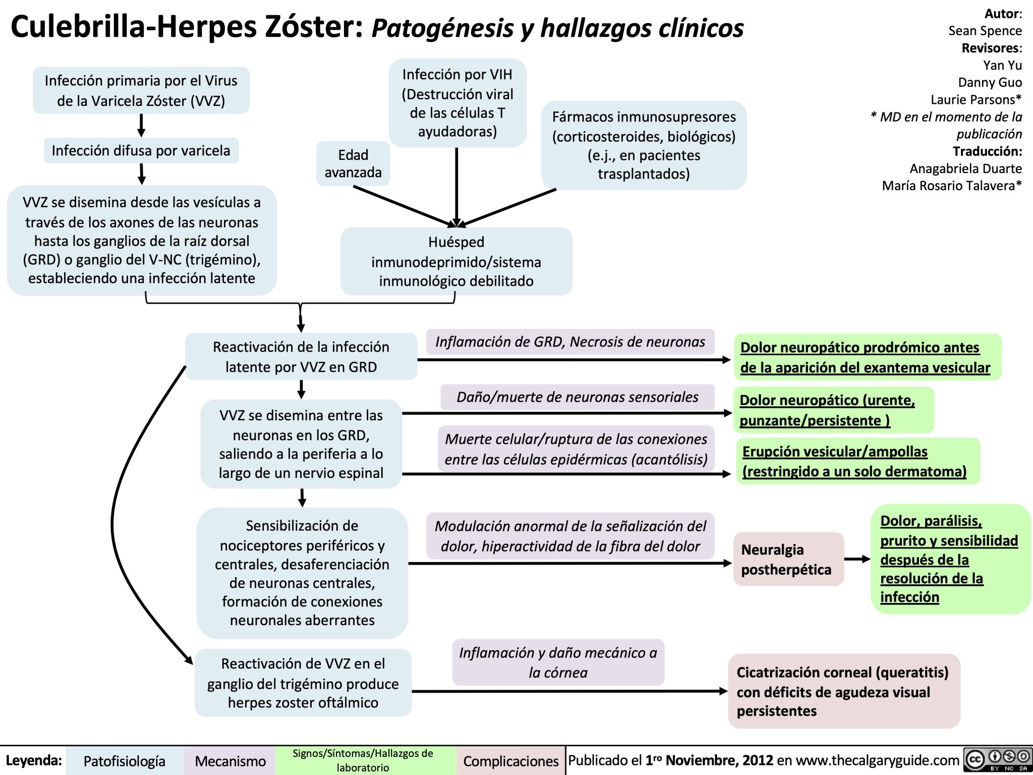 culebrilla-herpes-zoster-patogenesis-y-hallazgos-clinicos | Calgary Guide